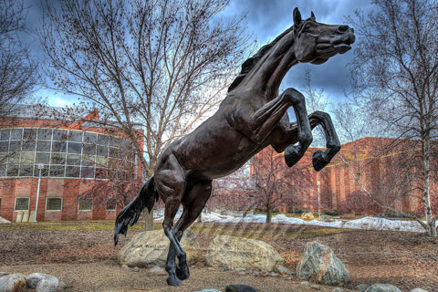 large bronze jumping horse statues for decoration